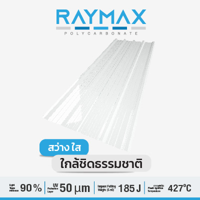Product_Raymax
